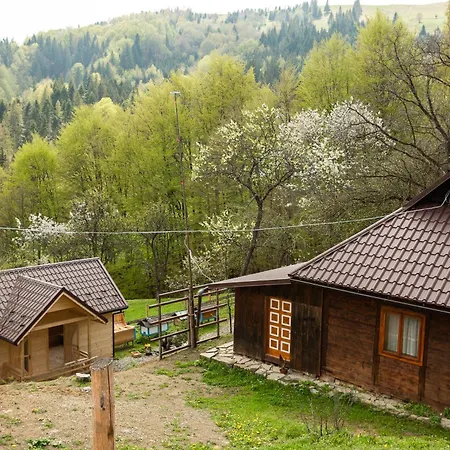 Apartament Budz яворів *