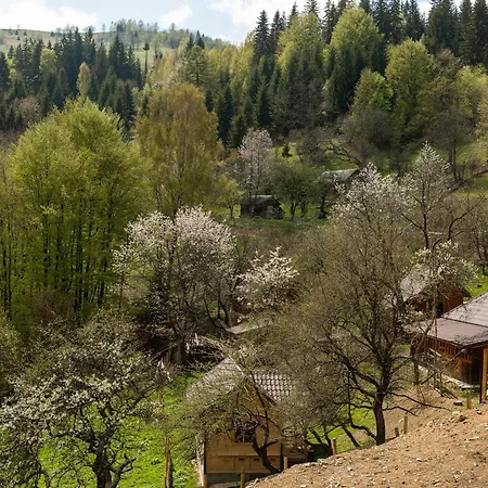 Budz яворів Apartament