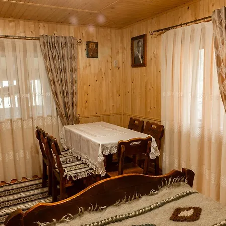 Budz яворів Palyanytsya