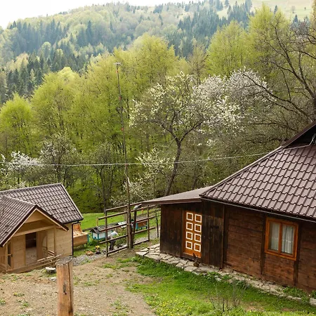 Appartamento Budz яворів Palyanytsya
